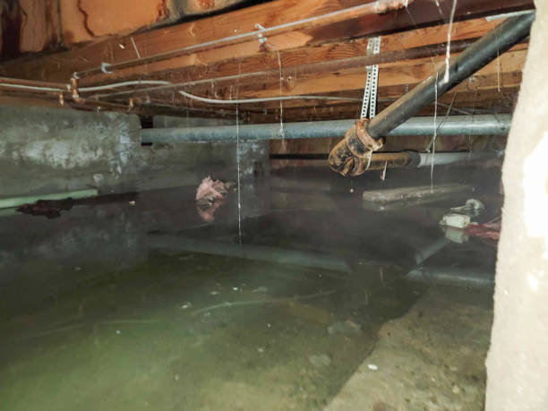 Best Flood damage cleanup  in Airmont, NY