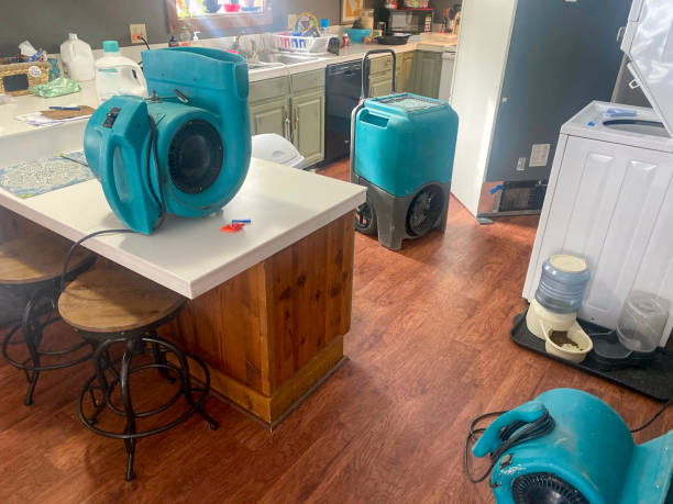 Best Water damage restoration experts  in Airmont, NY