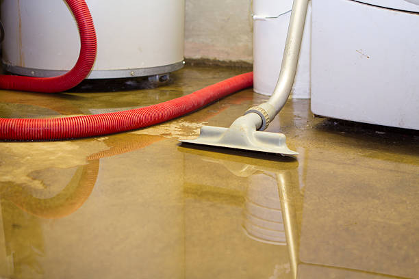 Best Basement water damage restoration  in Airmont, NY