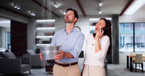 Best Professional water damage repair  in Airmont, NY