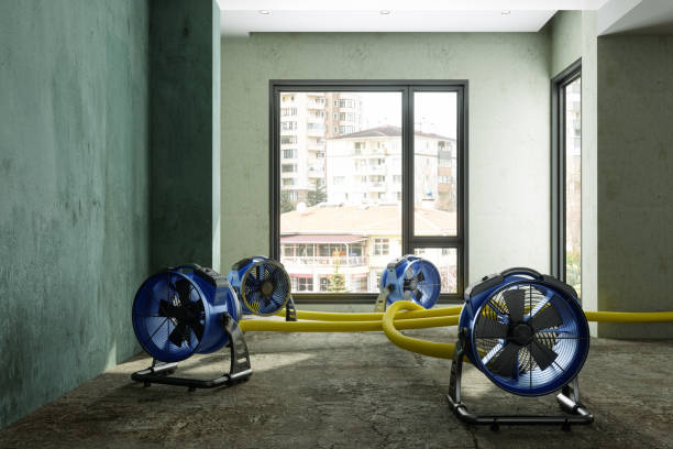Best Mold removal after water damage  in Airmont, NY